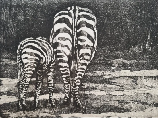 Drawing & Printmaking Zebras