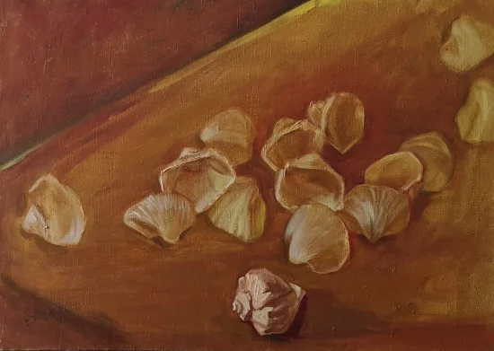 Landscape & Still Life Shells